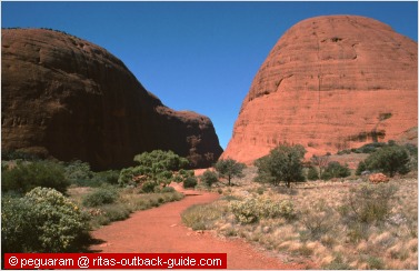 red rock domes at kata tjuta