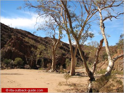 arkaroola photos