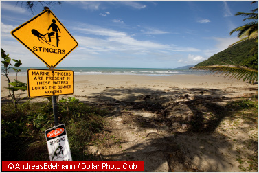 stingers warning sign