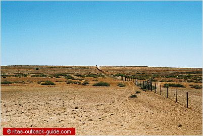 dog fence in the outback