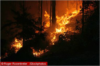 Bushfires in Australia - Australia-Tourism