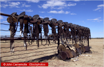 saddles lined up on a fence