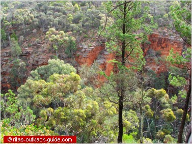 The impressive Alligator Gorge near Wilmington