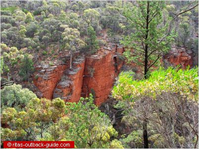 The red sandstone walls of Alligator gorge