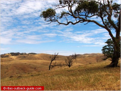 low hills covered with yellow grass