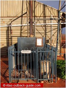 The donkey provides the hot water at Mt. Ive