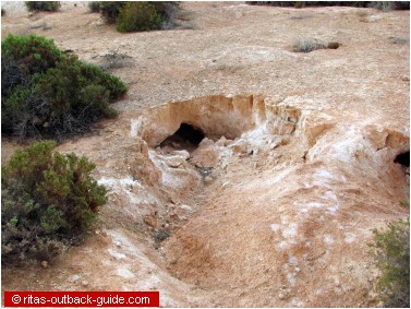 wombat holes