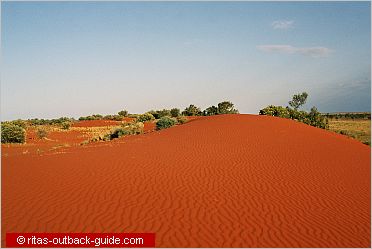 sandhills and grassland