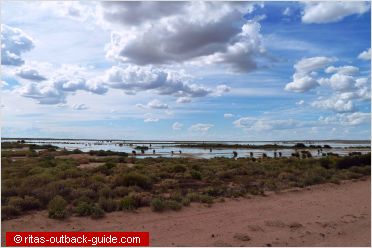 flooding in the outback