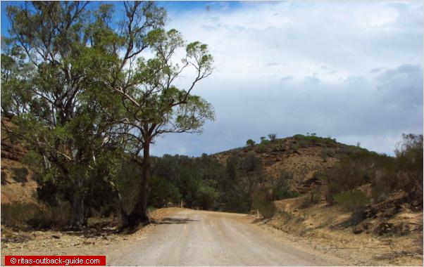 winding road in the flinders ranges