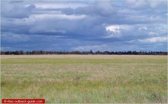 dramatic clouds over a green pasture