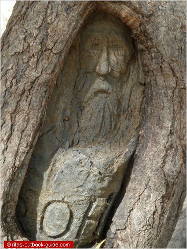 a face carved into a tree