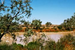 See photos of the track, from Marree to Birdsville
