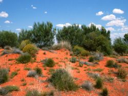Go along the Lasseter Hwy to Uluru