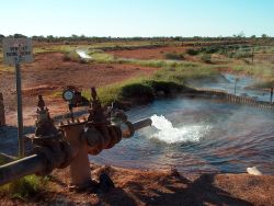 The flowing bore in Thargomindah
