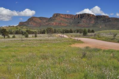 Rawnsley Bluff Flinders Ranges