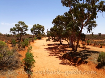 A dry creek bed with red sand in the Outback