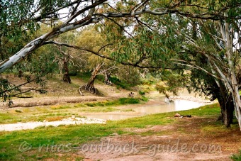 The Darling River in Wilcannia