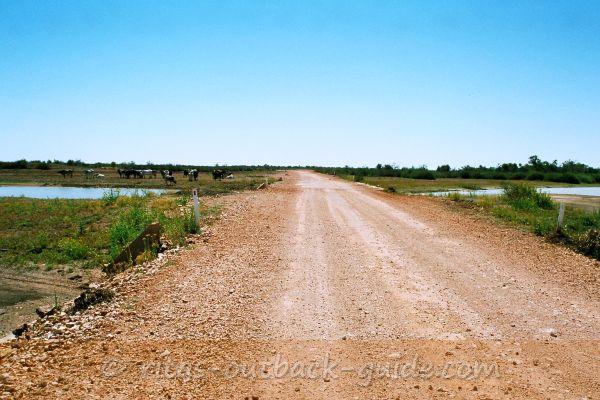 The road crosses Eyre Creek The road crosses Eyre Creek