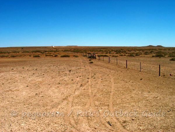 The dog fence in the outback to protect cattle and sheep country