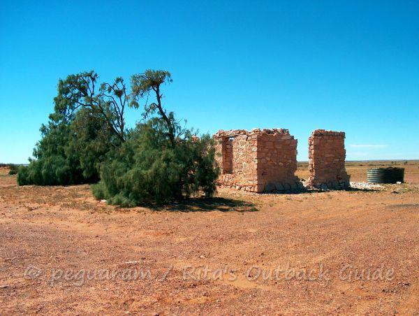 Outback ruin and a lonely tree at Lake Harry, South Australia
