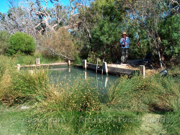 The beautiful wetlands at Mungeranie