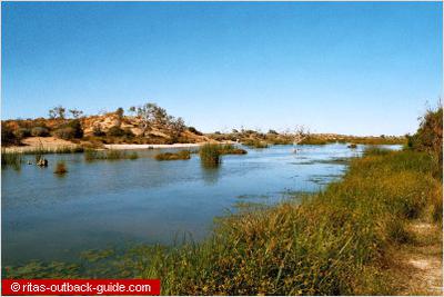 Mungerannie wetlands, Birdsville Track