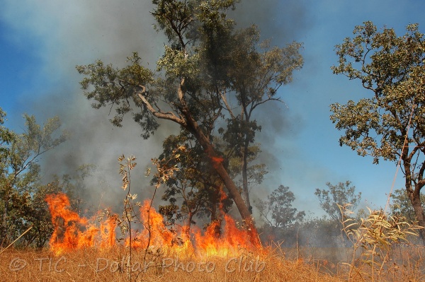Bushfires In Australia Australian Climate And Bushfire Facts