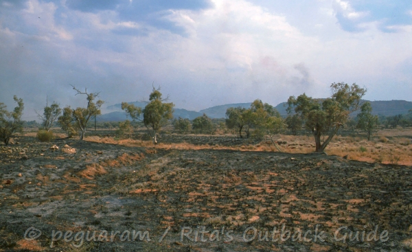 Several fires were burning around Alice Springs