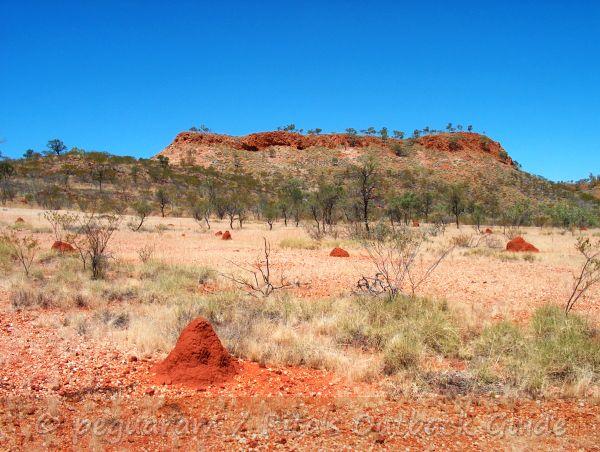Rocky hill, small termite hills and a perfect blue sky on the way to Mount Isa