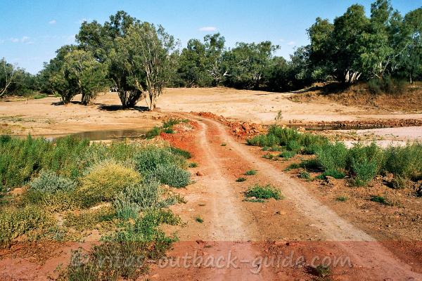 Interpretive signs tell you about the flora along the Nature Drive in Windorah