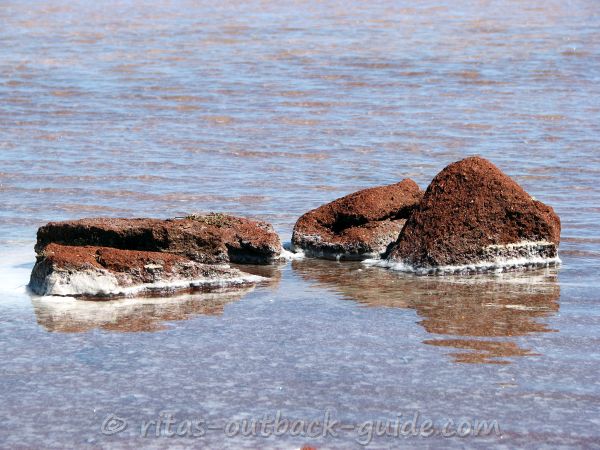 Red rocks with salt crusts in a salt lake
