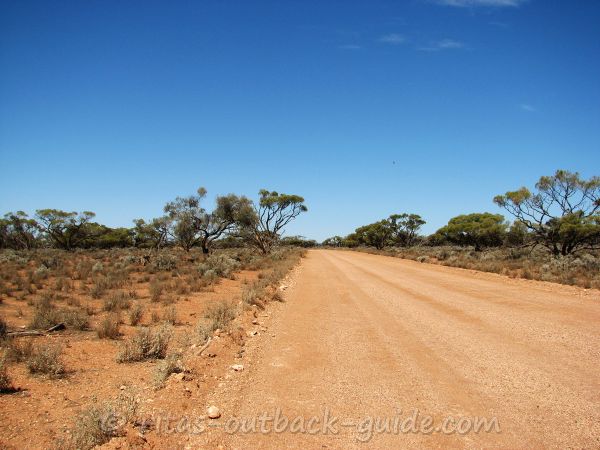 An unsealed road in the bush (Gawler Ranges)