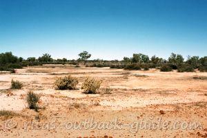 The dry creek bed of Cooper Creek