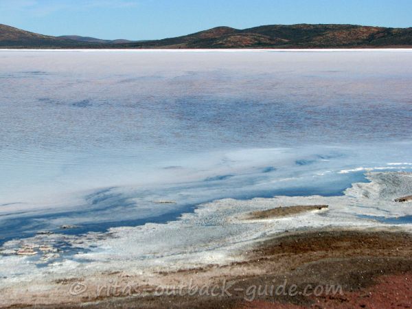 salt crust at the shore