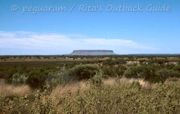 Bushland with a table mountain in the distance