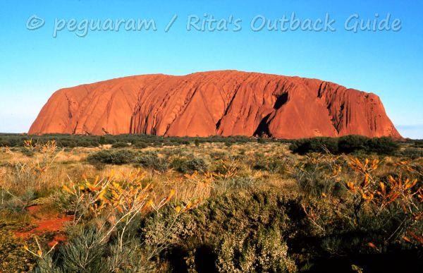 The red rock Uluru at bright daylight