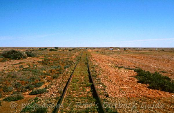 See the "lush" vegetation, it is rare in this desert environment.