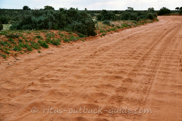 Picture of a very rough and corrugated road
