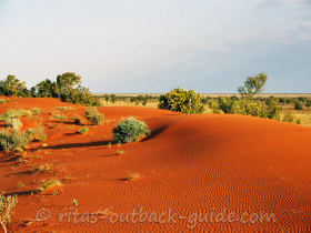 Learn about the Australian Outback and its deserts