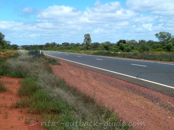 Good quality Outback road lined by bushes and trees