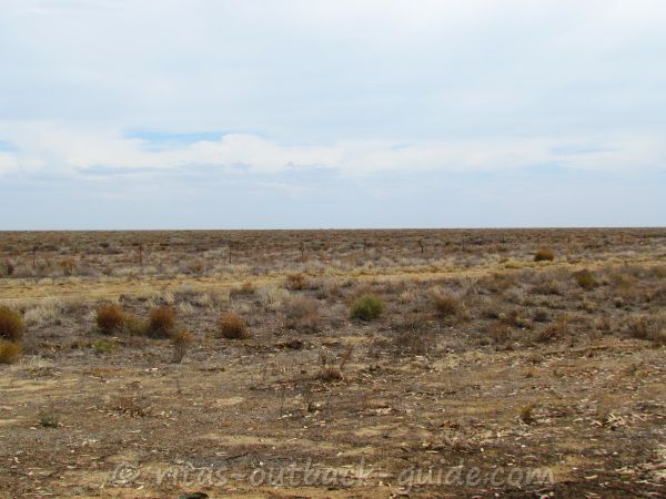 Typical flat and barren salt bush country in New South Wales