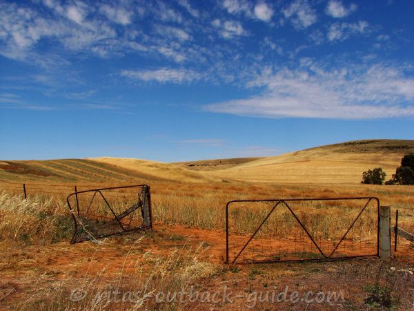 An open gate in a rural area of the Mid North