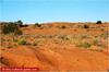 Sand dunes near Bedourie