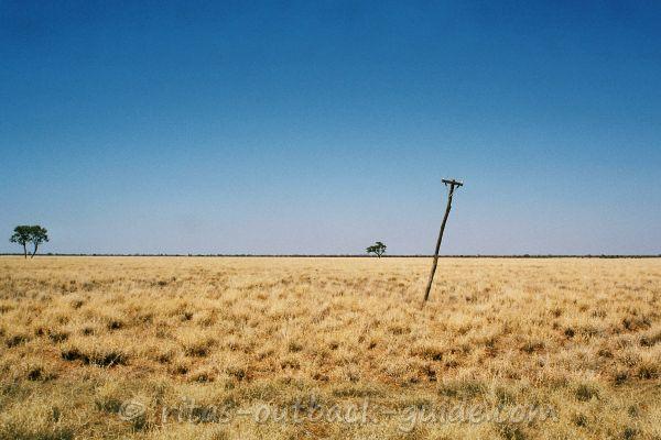 Wide plain with yellow Mitchell grass