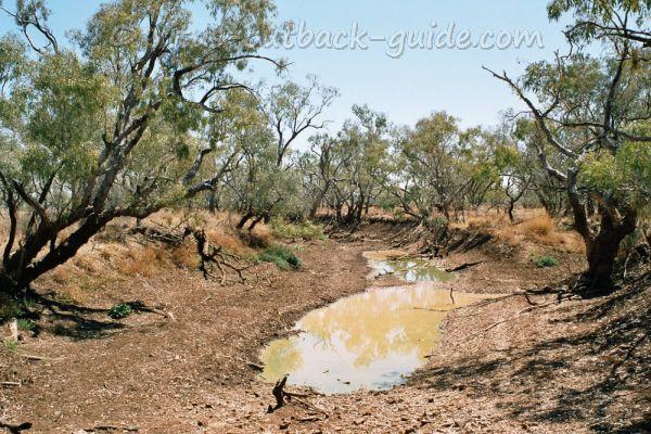 A water puddle under some trees - the origins of the famous song