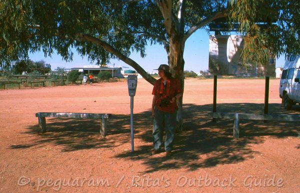 This large tree provides a nice shade
