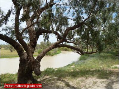 Cooper Creek at Dig Tree Historical Reserve