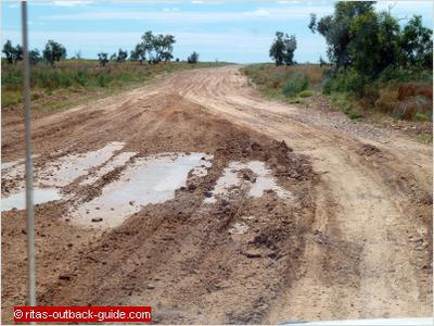 Road to the Dig Tree