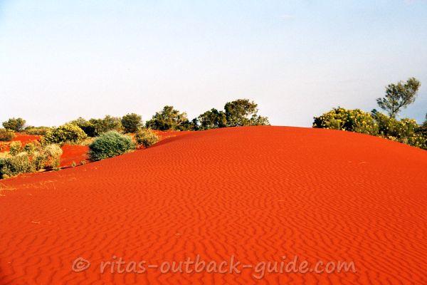Sand hills covered with native bushes